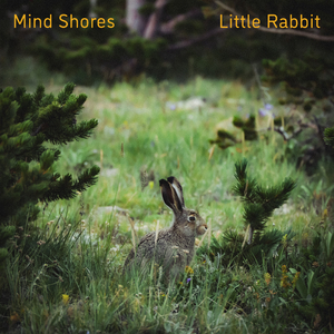 男女黄色裸体干逼逼
